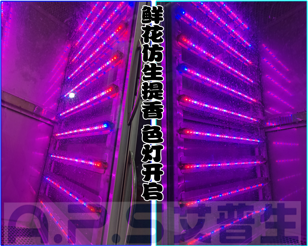 12、植物鲜花低温萃取精华液专用设备=鲜花提香色灯开启.jpg
